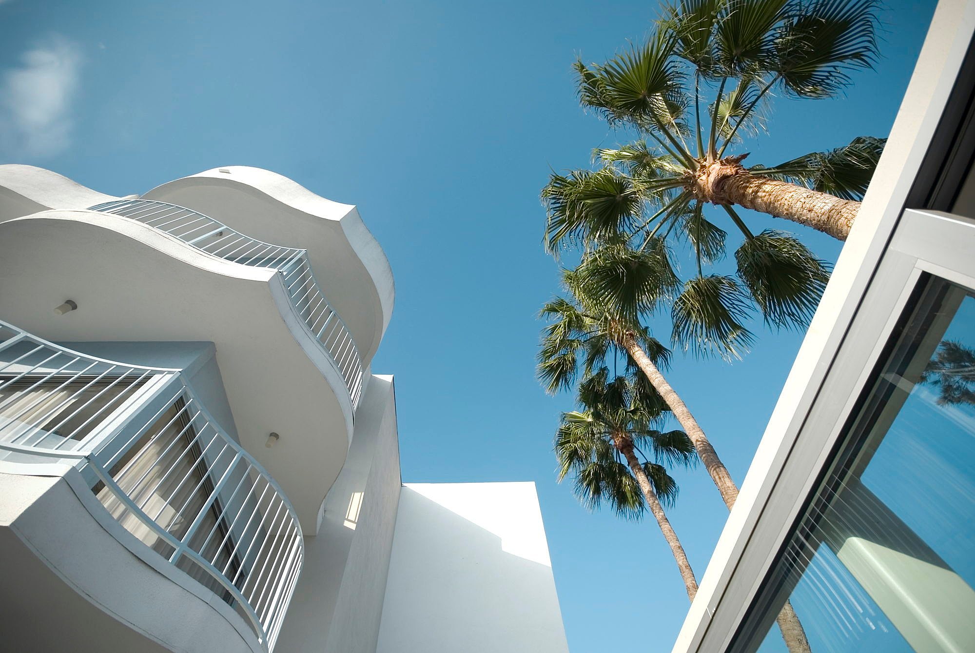 Palm trees framed by the balcony of a Los Angeles apartment building